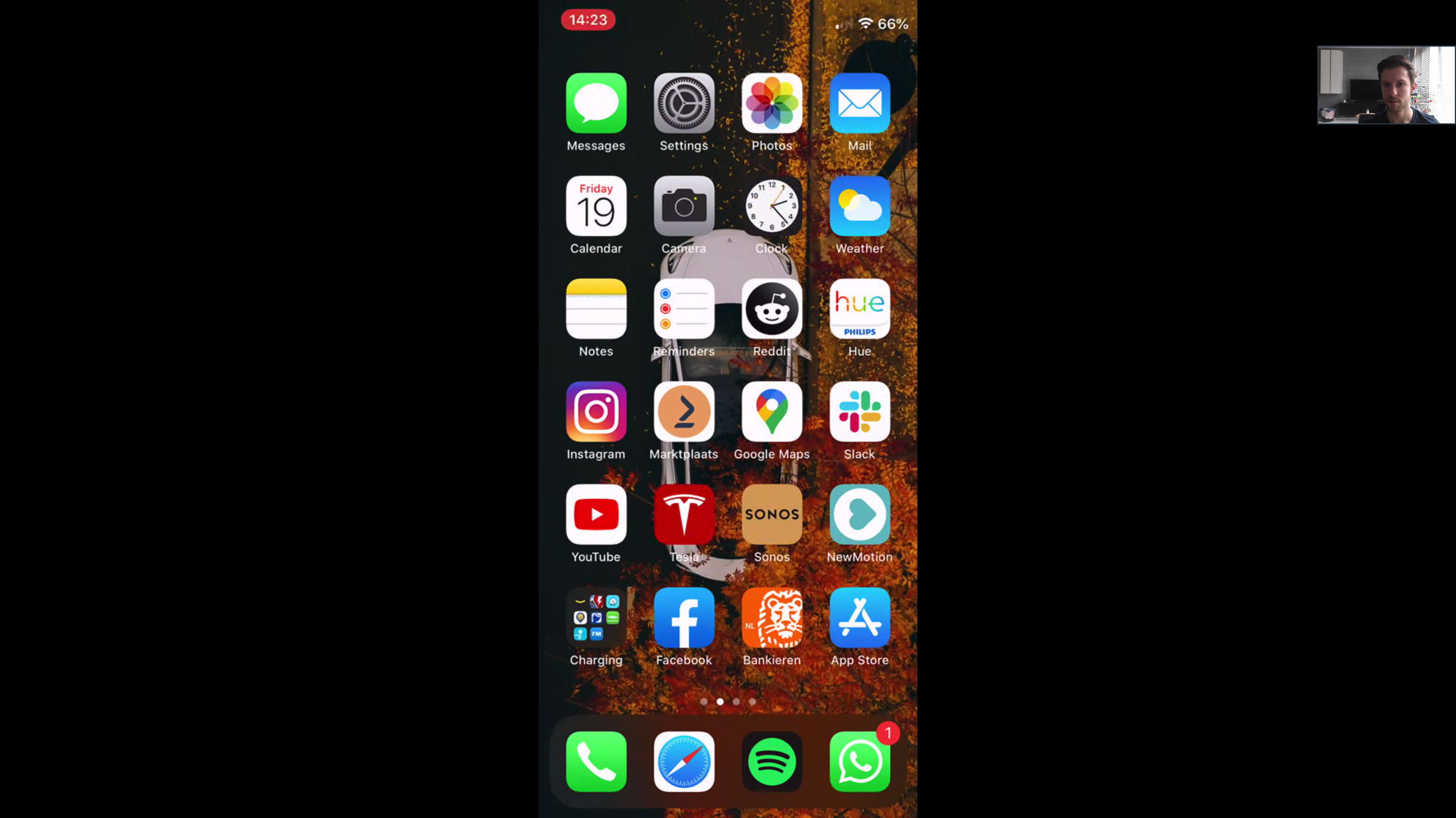 Seeing the screen of the participant